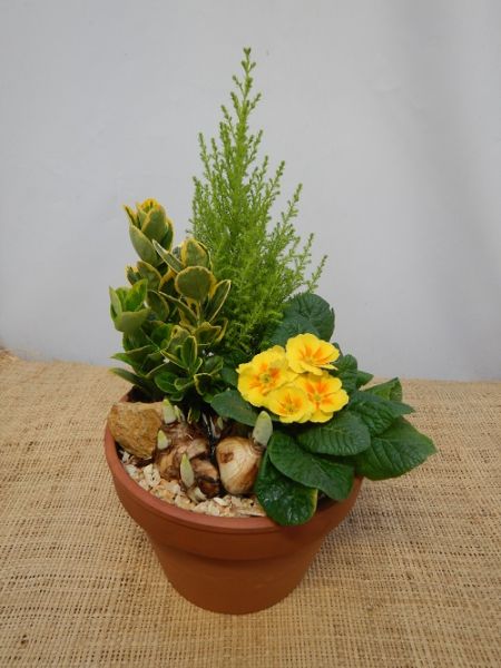 OFFRE EXT.JANVIER  003