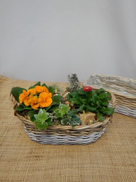 OFFRE EXT.JANVIER  005