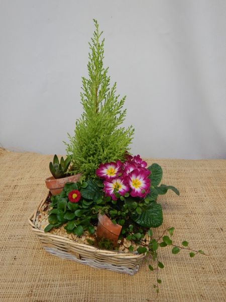 OFFRE EXT.JANVIER  006