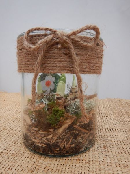 OFFRE EXT.JANVIER  007