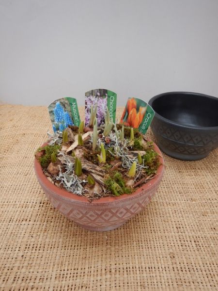 OFFRE EXT.JANVIER  008