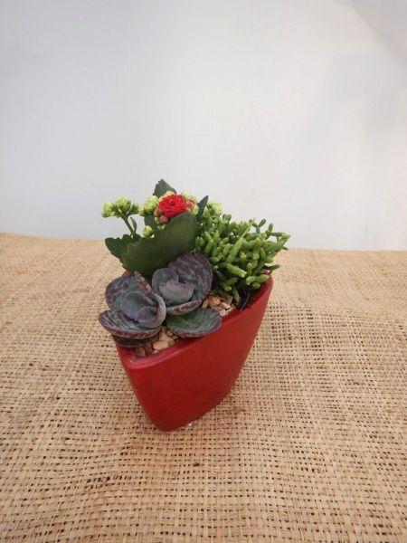 OFFRE ST-VALENTIN 01