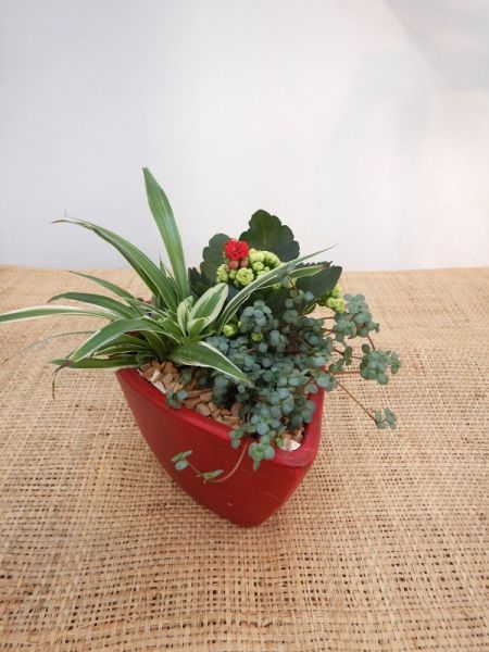 OFFRE ST-VALENTIN 02