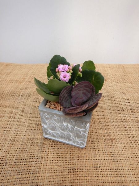 OFFRE ST-VALENTIN 03