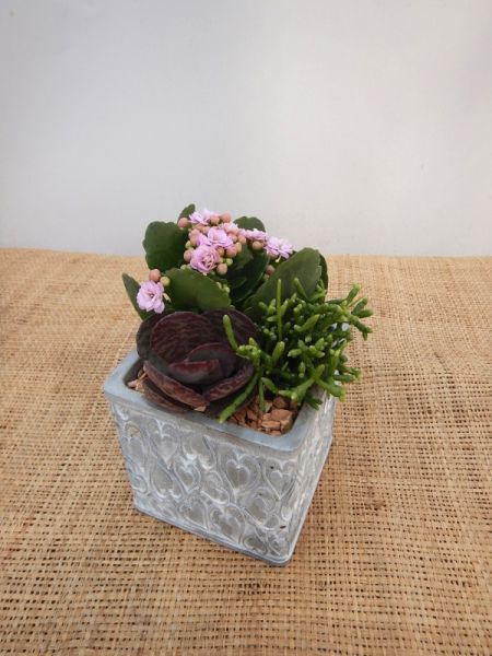 OFFRE ST-VALENTIN 04