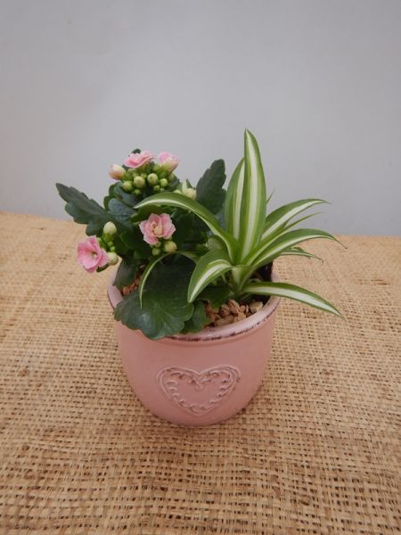 OFFRE ST-VALENTIN 05