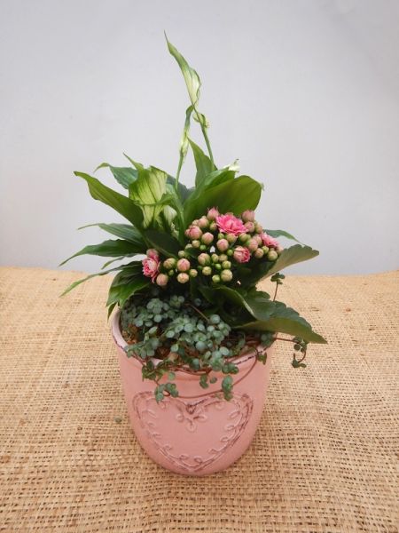 OFFRE ST-VALENTIN 06