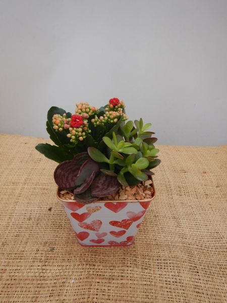 OFFRE ST-VALENTIN 08