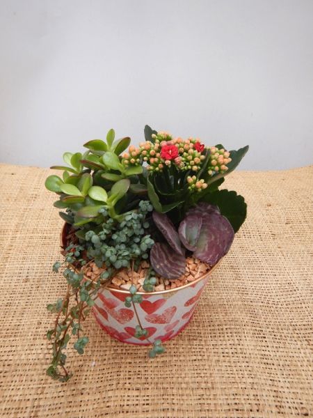 OFFRE ST-VALENTIN 09