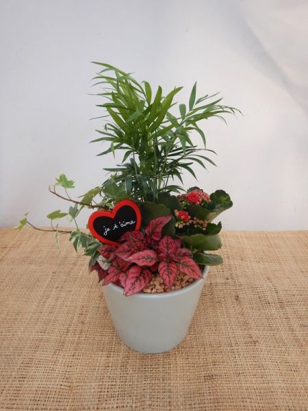 OFFRE ST-VALENTIN 11