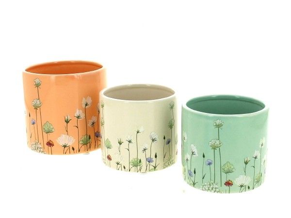 26DL1066-A3 C.POT PRINTEMPS ASS.3