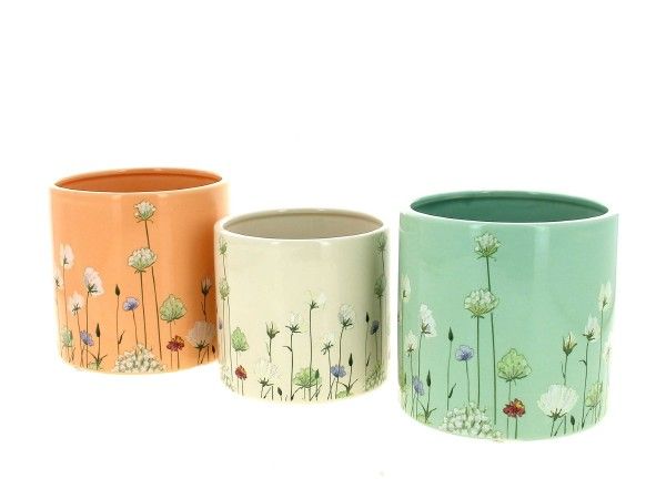 26DL1068-A3 C.POT PRINTEMPS ASS.3