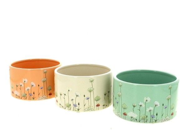 26DL1071-A3 COUPE PRINTEMPS ASS.3