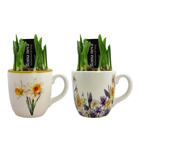 O-NARCISSUS TETE A TETE MUG 1539