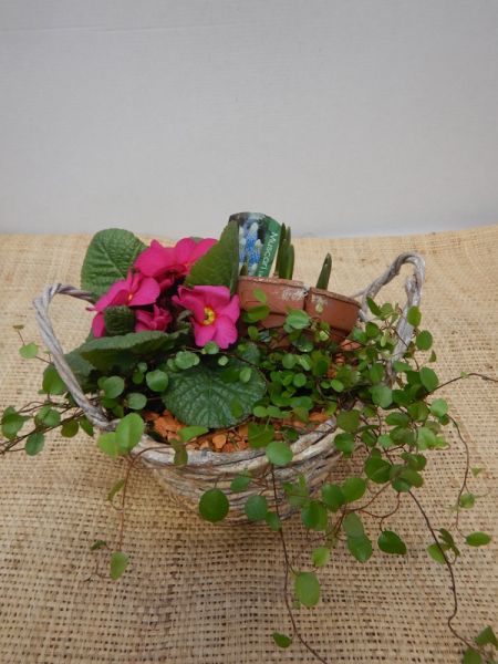 OFFRE EXT. FEVRIER 001