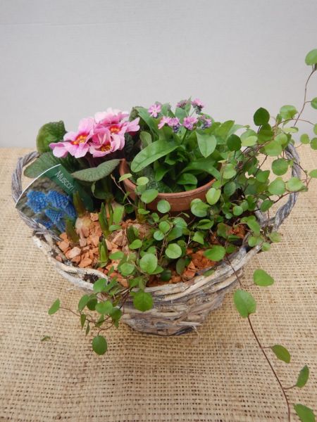 OFFRE EXT. FEVRIER 002