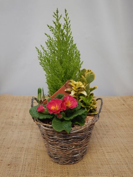 OFFRE EXT. FEVRIER 004