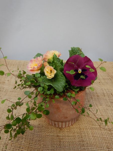 OFFRE EXT. FEVRIER 005