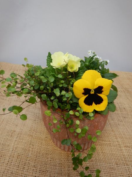 OFFRE EXT. FEVRIER 006