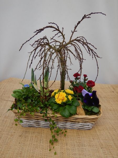 OFFRE EXT. FEVRIER 008