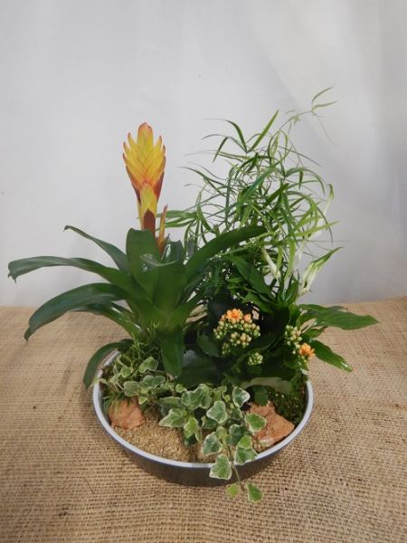 TERRINE TRADITION n°06