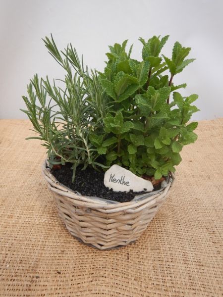 OFFRE AROMATIQUE 001