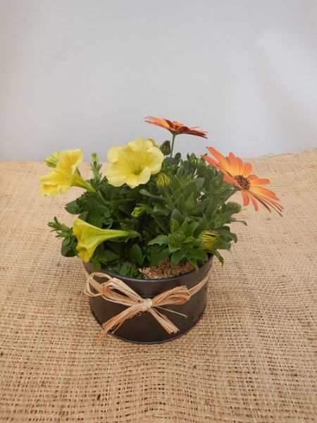 OFFRE EXT. AVRIL 001