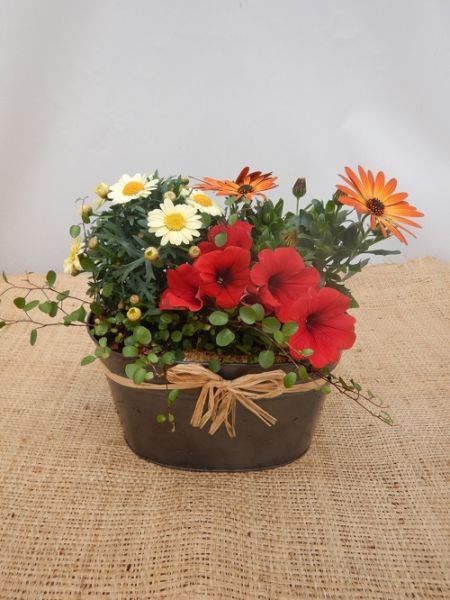 OFFRE EXT. AVRIL 002