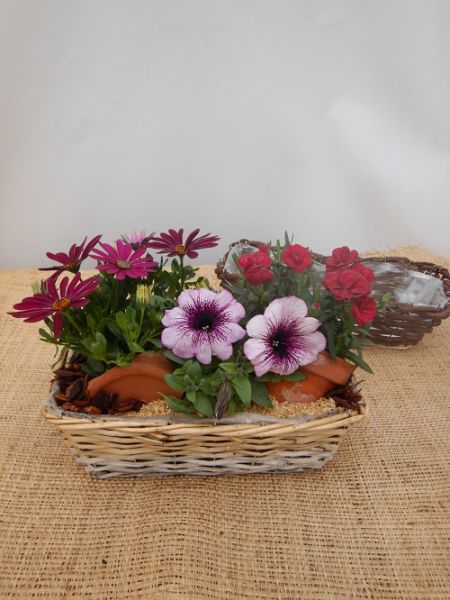 OFFRE EXT. AVRIL 003