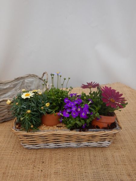 OFFRE EXT. AVRIL 004