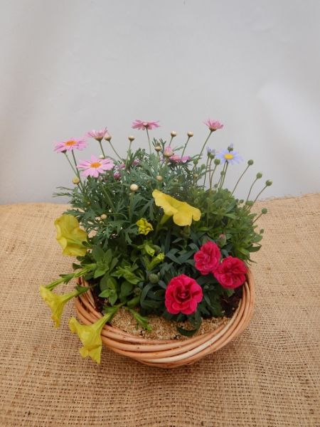 OFFRE EXT. AVRIL 005