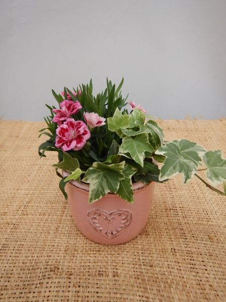 OFFRE EXT. FETE DES MERES 001