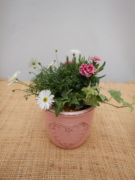 OFFRE EXT. FETE DES MERES 002