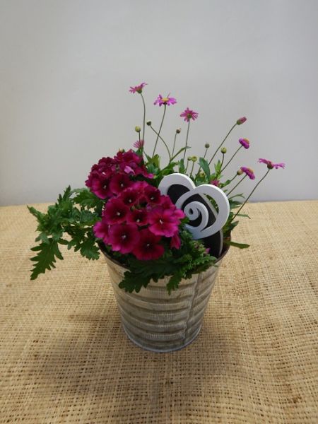 OFFRE EXT. FETE DES MERES 003