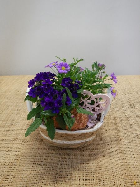 OFFRE EXT. FETE DES MERES 006