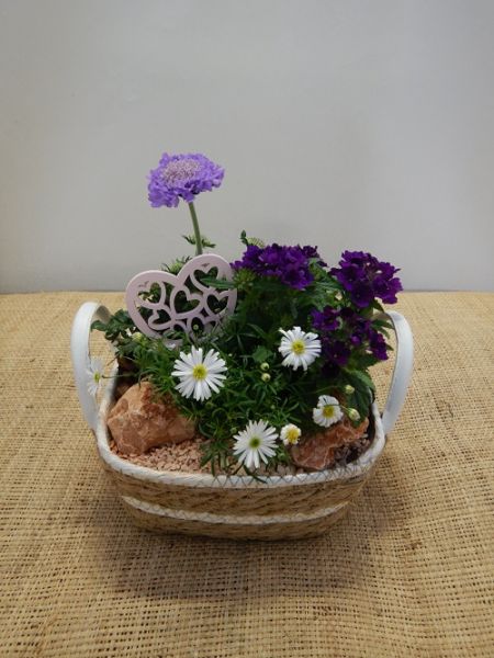 OFFRE EXT. FETE DES MERES 007