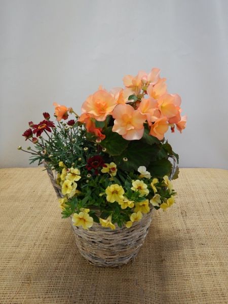 OFFRE EXT. FETE DES MERES 008