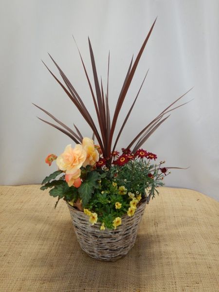 OFFRE EXT. FETE DES MERES 009