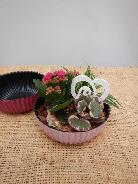 OFFRE FÊTE DES MERES 01