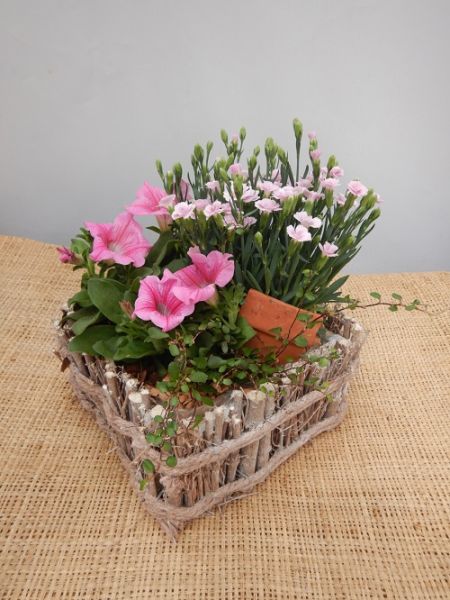 OFFRE EXT. JUIN 001