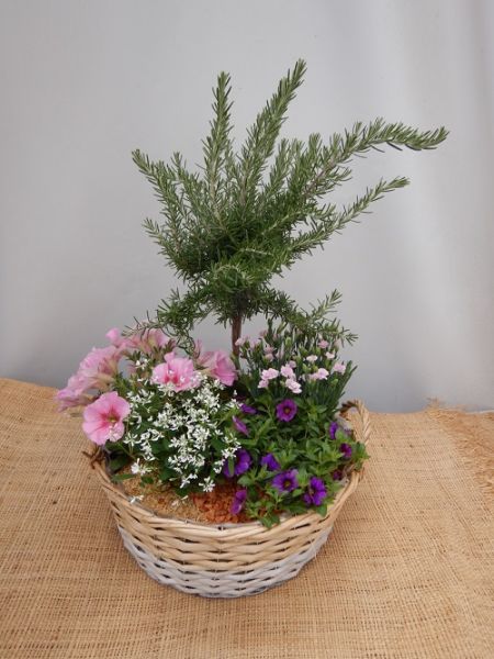 OFFRE EXT. JUIN 006