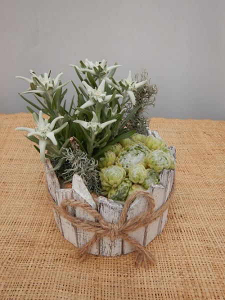 OFFRE EXT. JUILLET 001