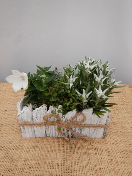 OFFRE EXT. JUILLET 002