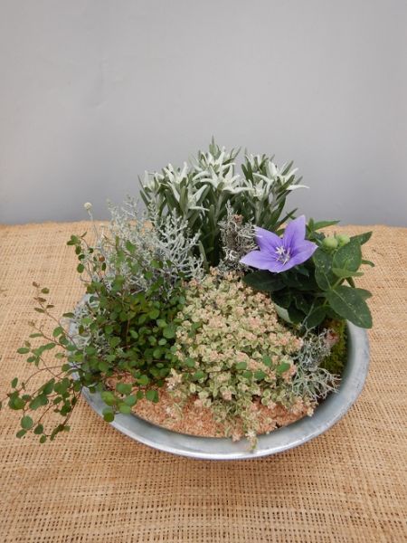 OFFRE EXT. JUILLET 004