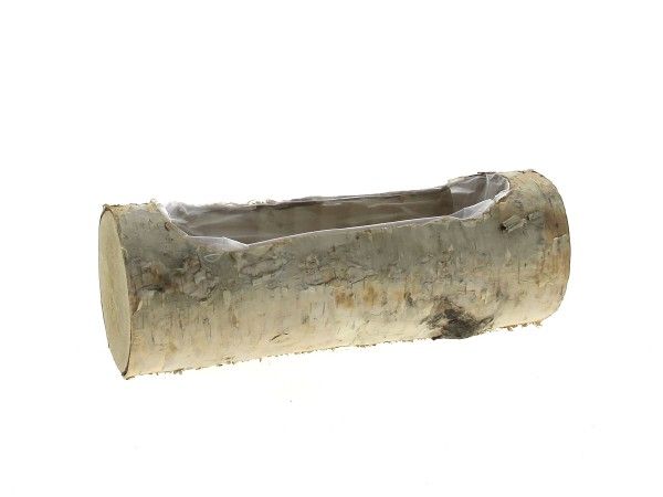 20LH2036 BUCHE BOIS BOULEAU